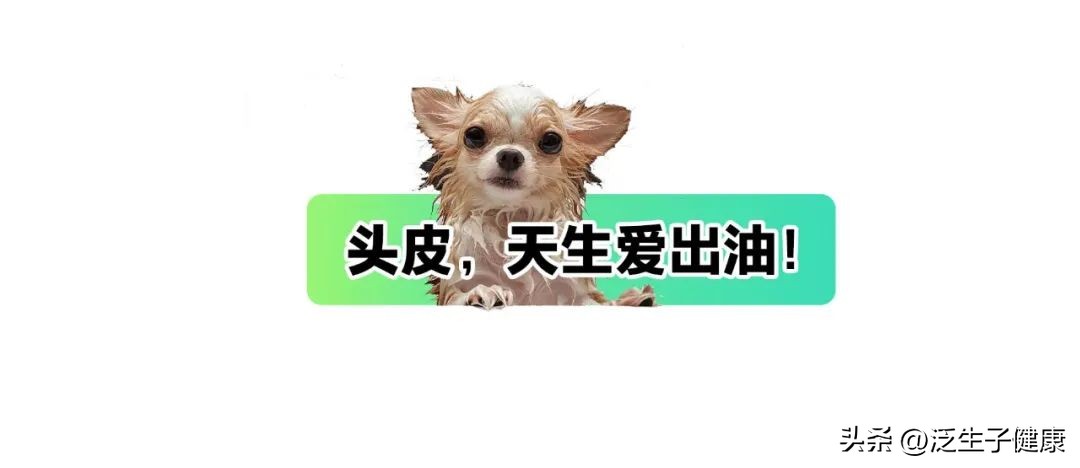 头皮油却有头屑怎么治,为什么头屑老反复