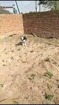 论一个人情商,论一个人能有多悲伤