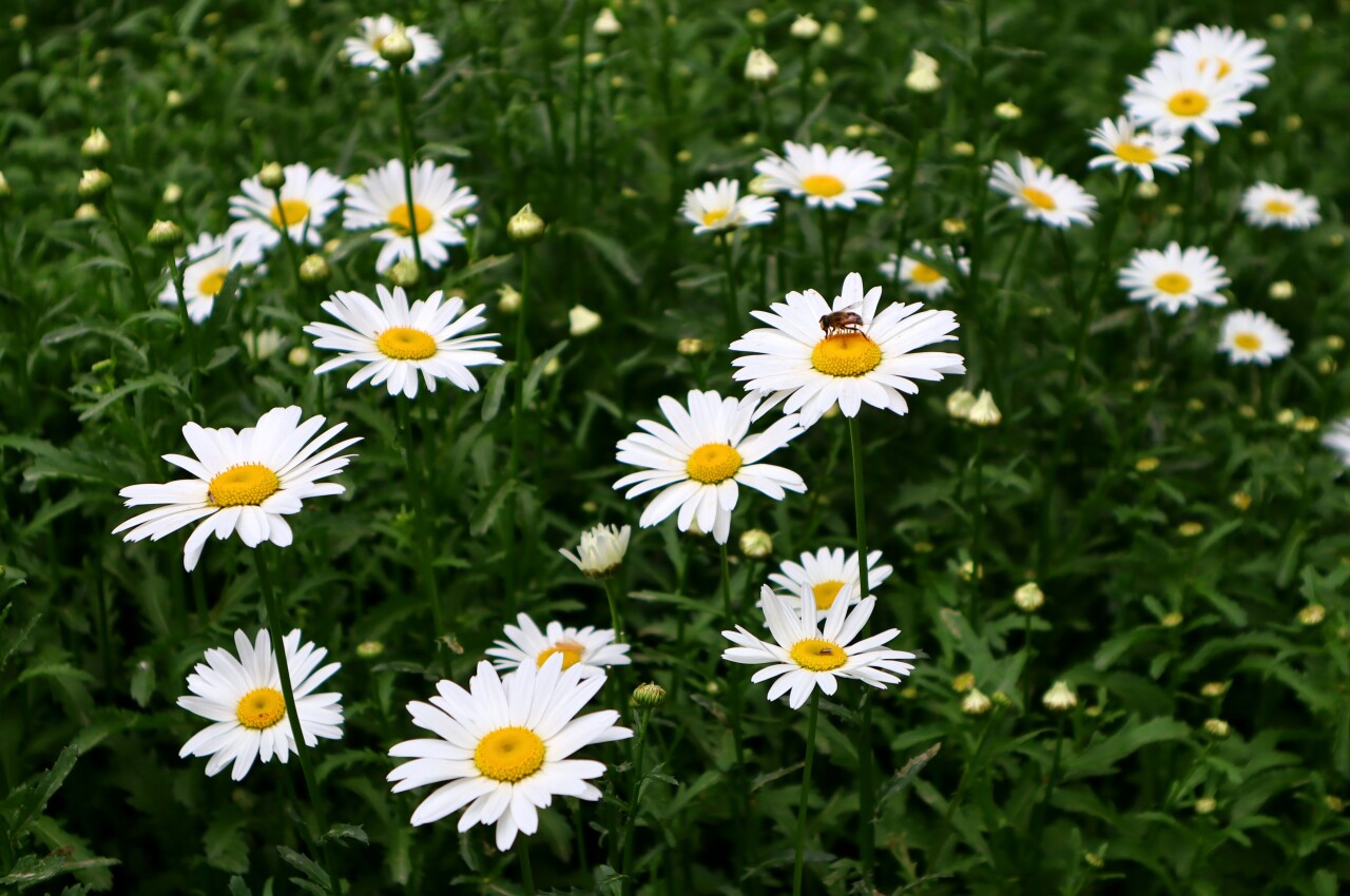 济南有隐秘的角落公园,推荐济南6处鲜为人知的小众之地