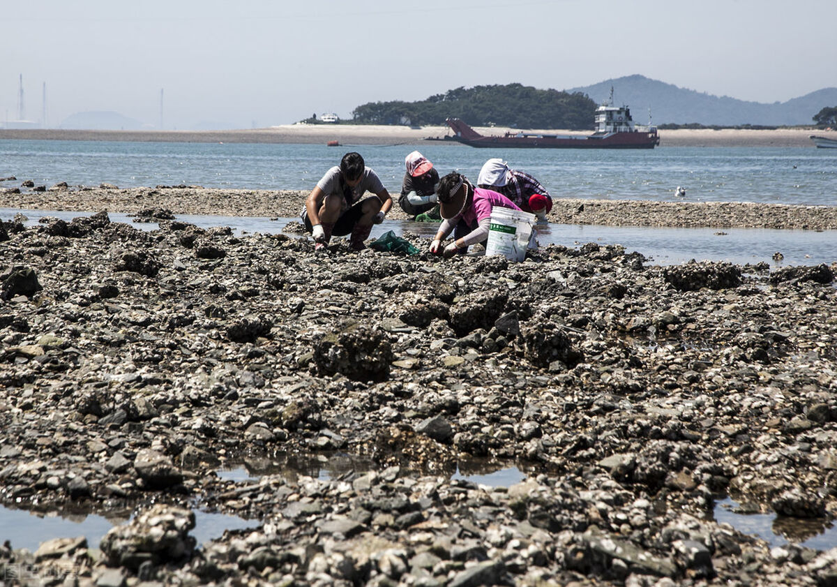 在公众场合总想挠挠下面是什么原因？这4个原因早知道早预防