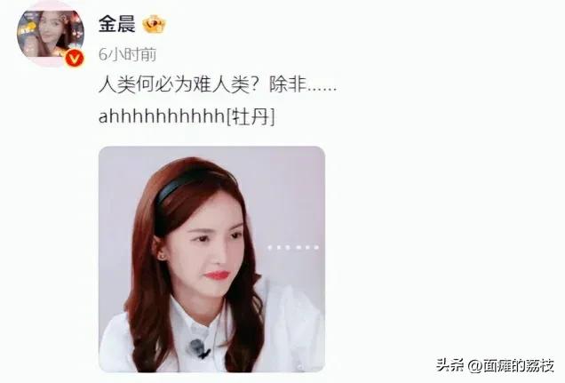 金晨被爆料,金晨现在过得怎么样