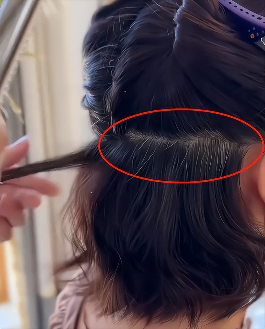 张蕾何时退出了舞台,张蕾离开央视有退休金吗