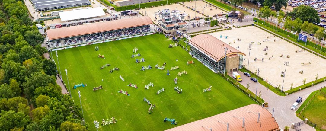 买马的时候该怎么挑,新手买马需要注意什么