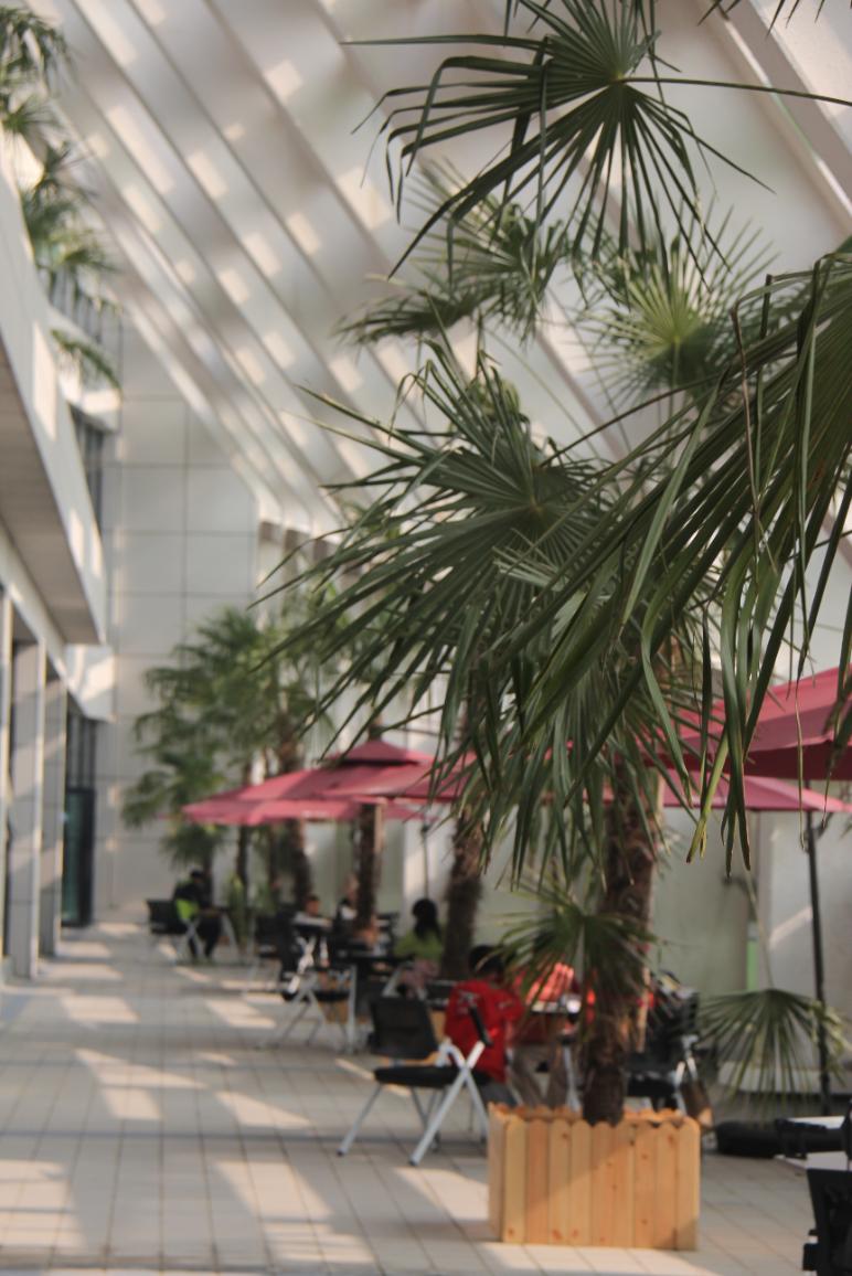 我家门口有条河,我家门前有条河全文