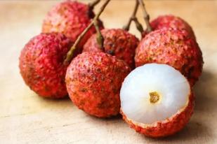 日啖荔枝三百颗不枉长作岭南人,日啖荔枝三百颗岭南是现在的哪里