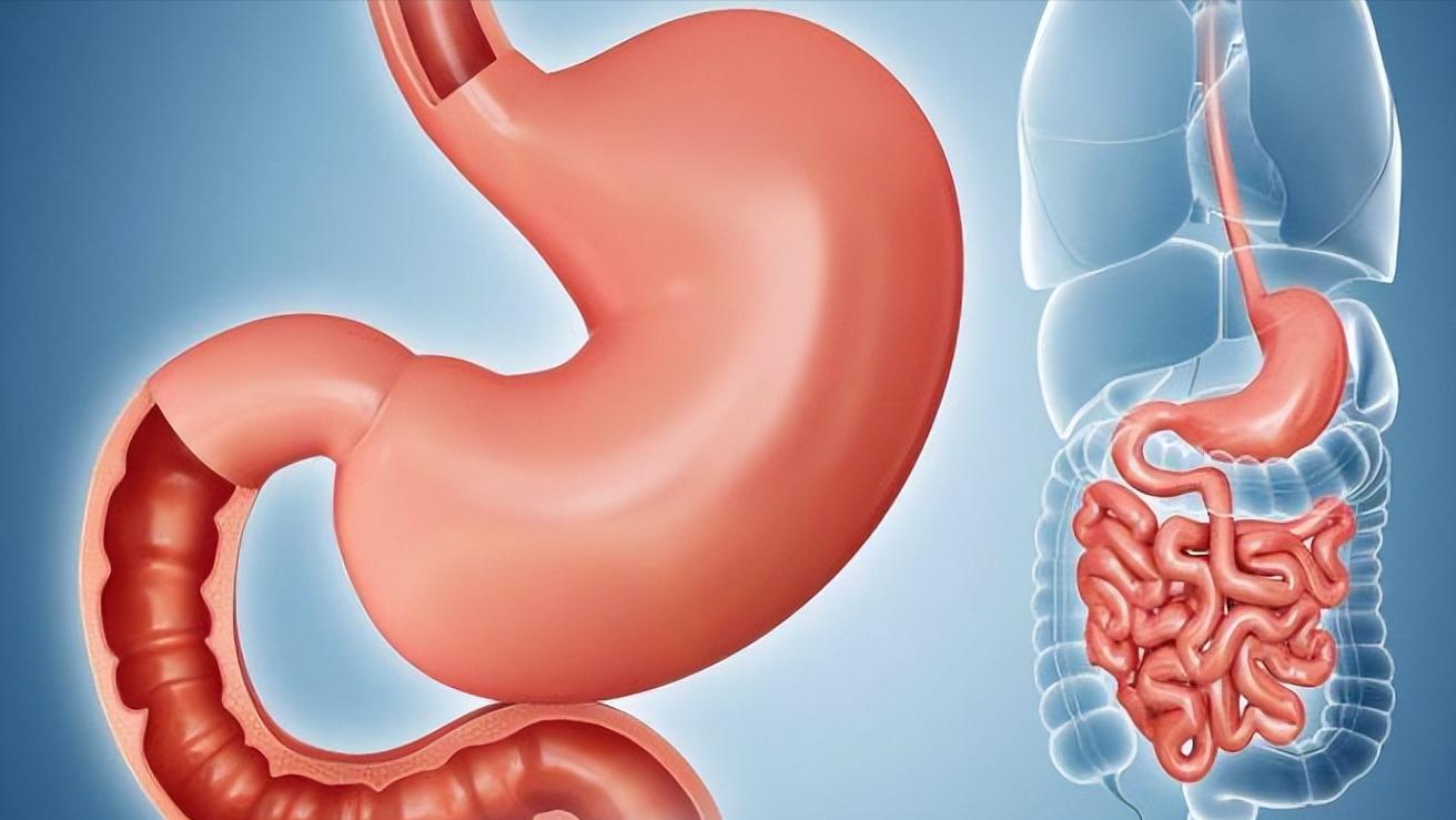 睡前吃夜宵凌晨肚子饿为什么,吃宵夜和饿肚子哪个危害大