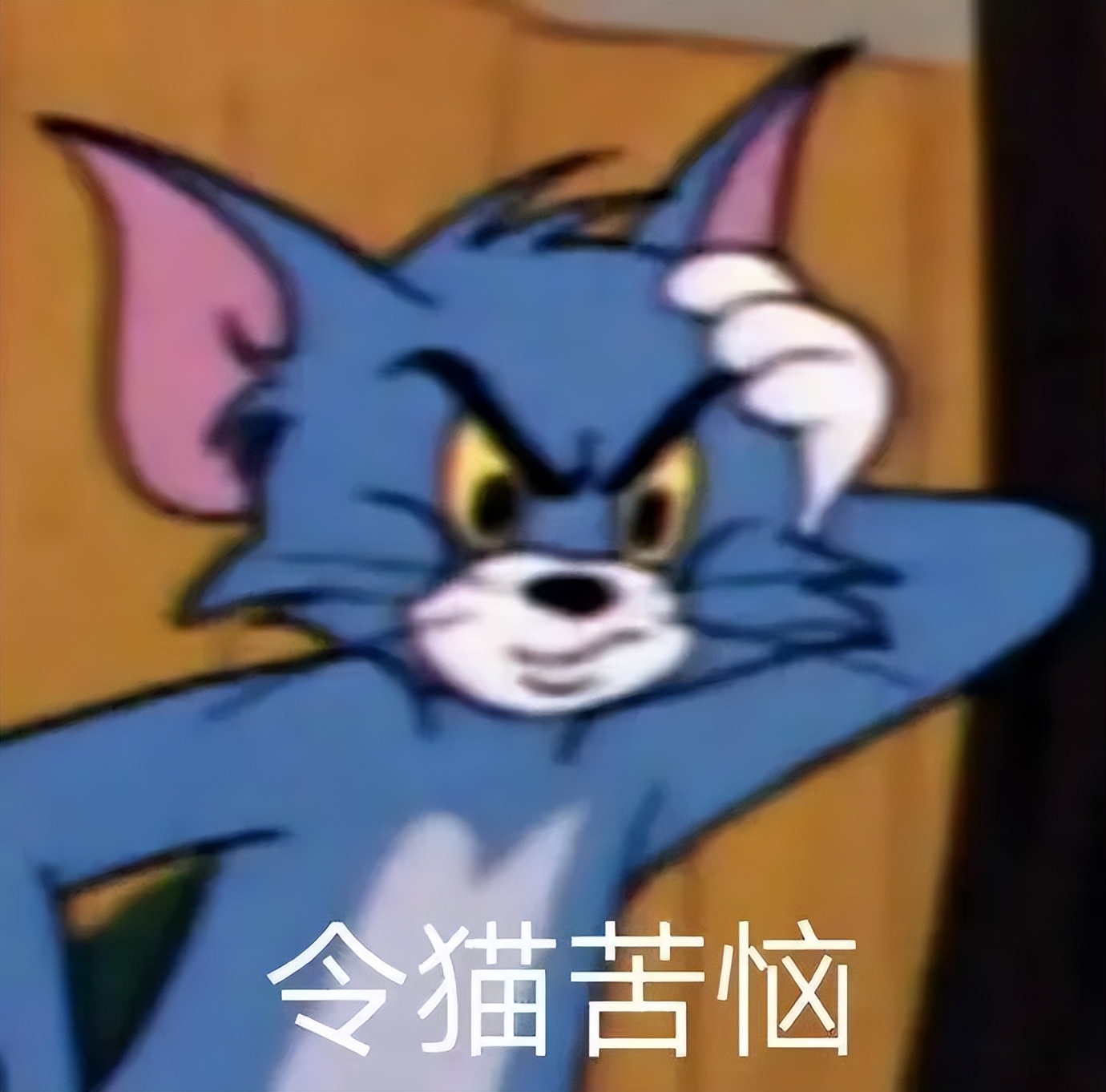 澳洲入境注意事项和费用,澳洲留学生澳洲入境流程