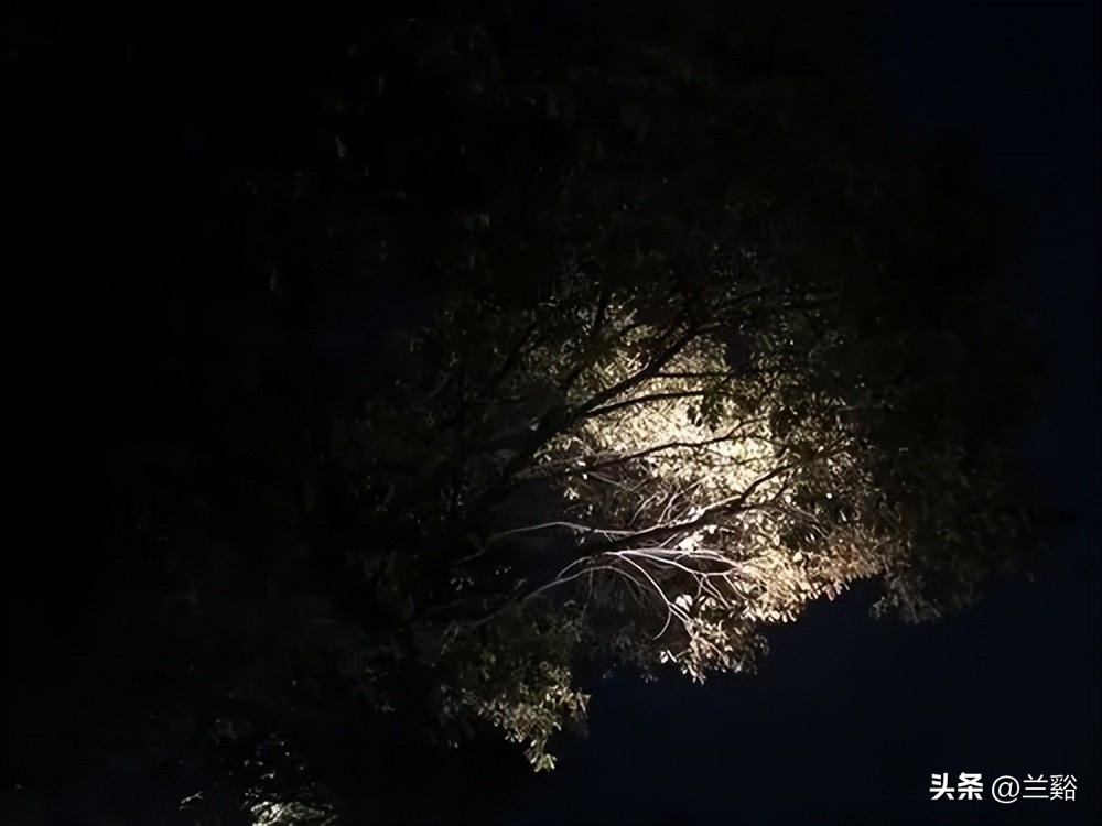 摇摇欲坠的故事,故事阁楼的秘密