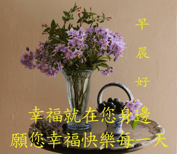 最新早上好表情动图大全,最新的早上好祝福表情图片大全