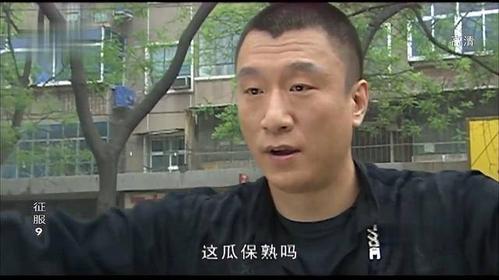 破案电视剧排行榜前十名白夜追凶,有没有媲美白夜追凶的刑侦剧