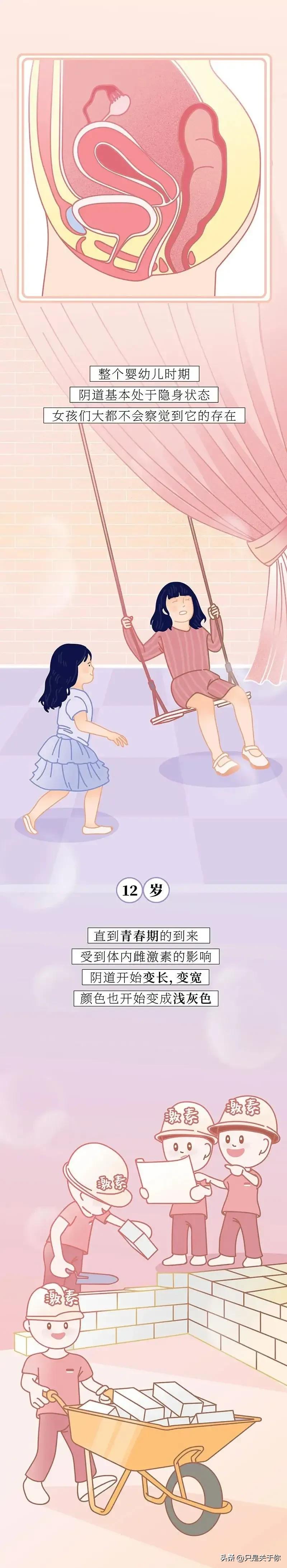 这是一篇关于女生阴道的科普漫画！