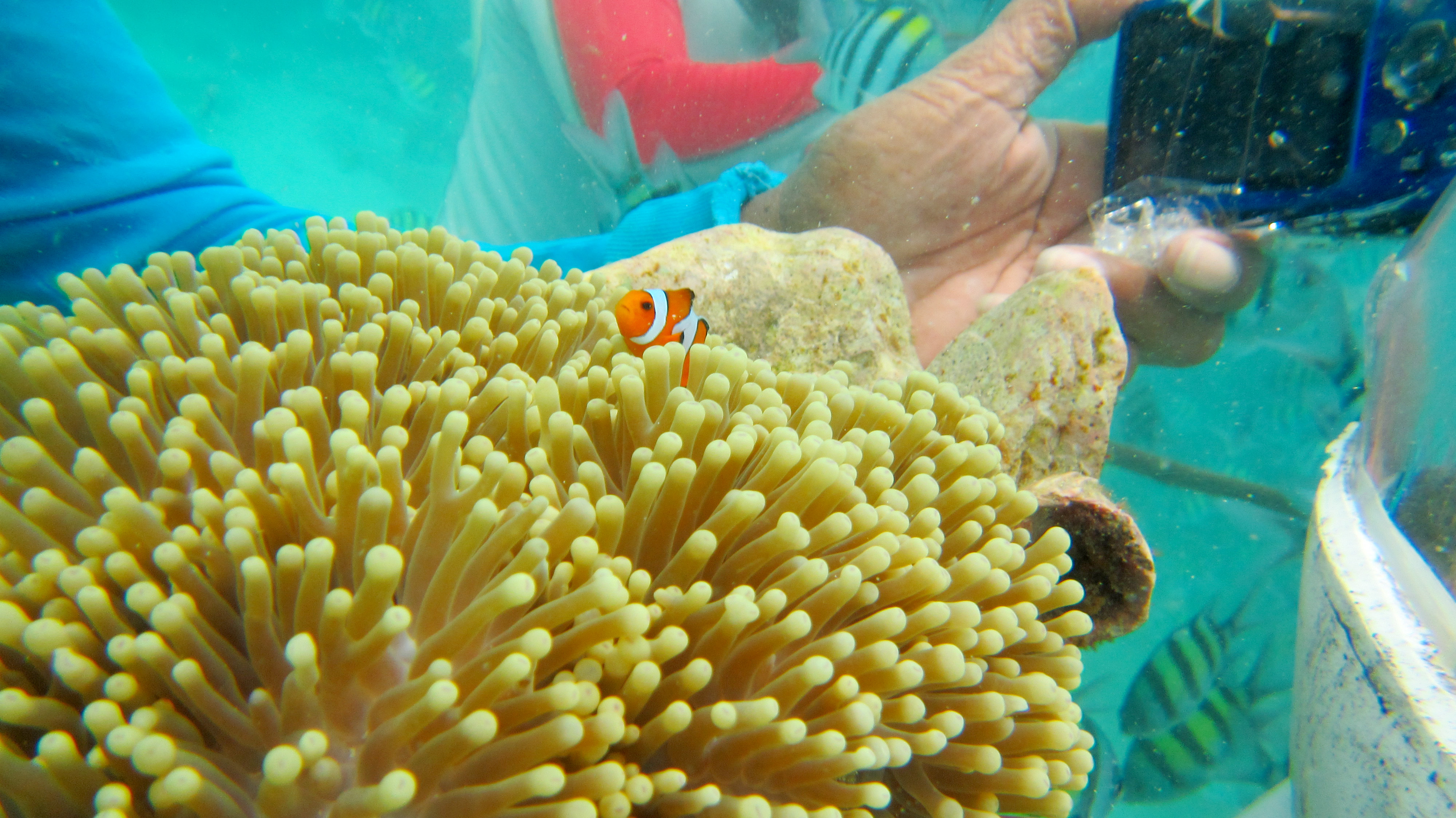 泰国三亚旅游对比,三亚和泰国旅游选择哪里