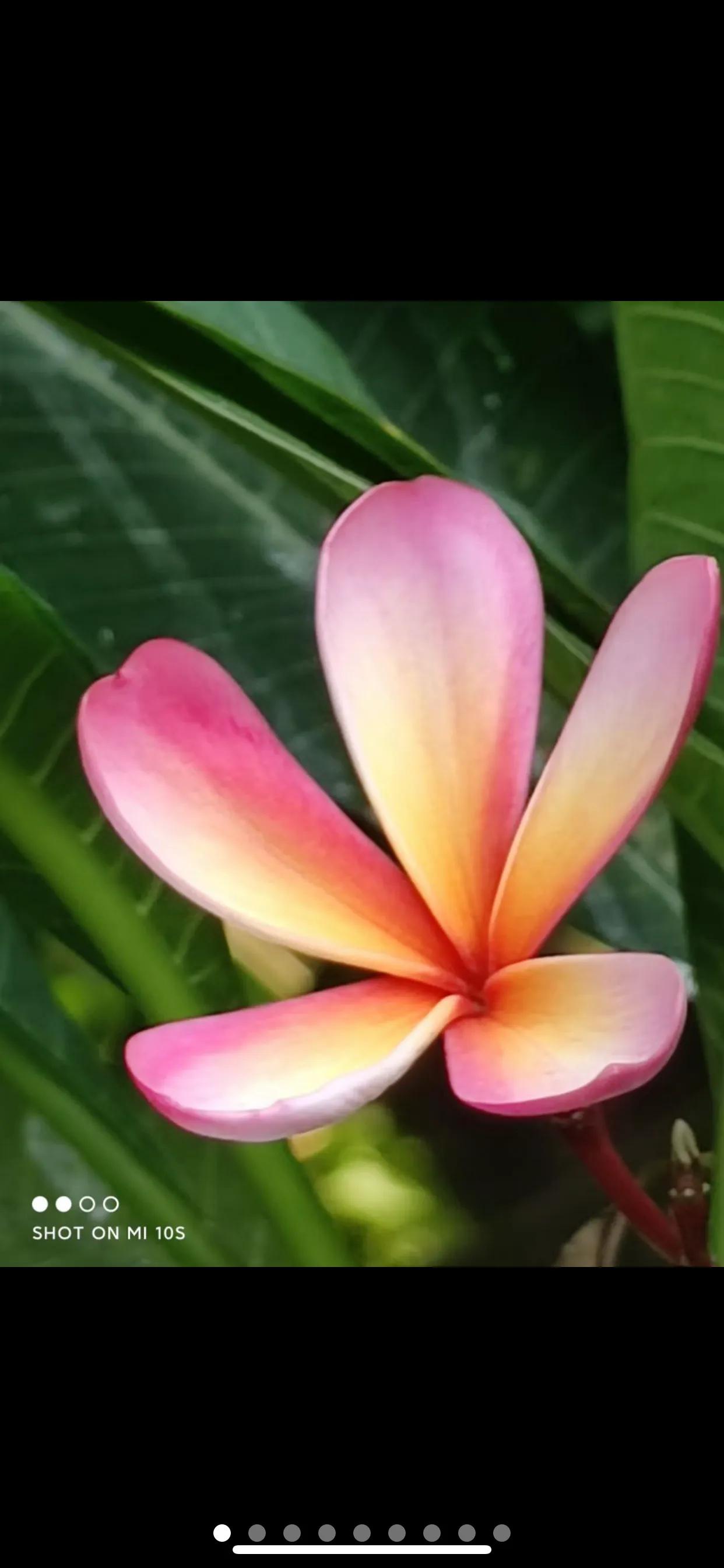 体检有异常怎么处理,体检异常是什么意思