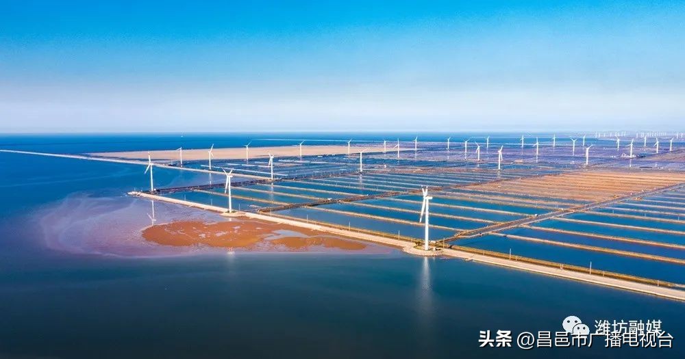 总要来趟潍坊昌邑吧！