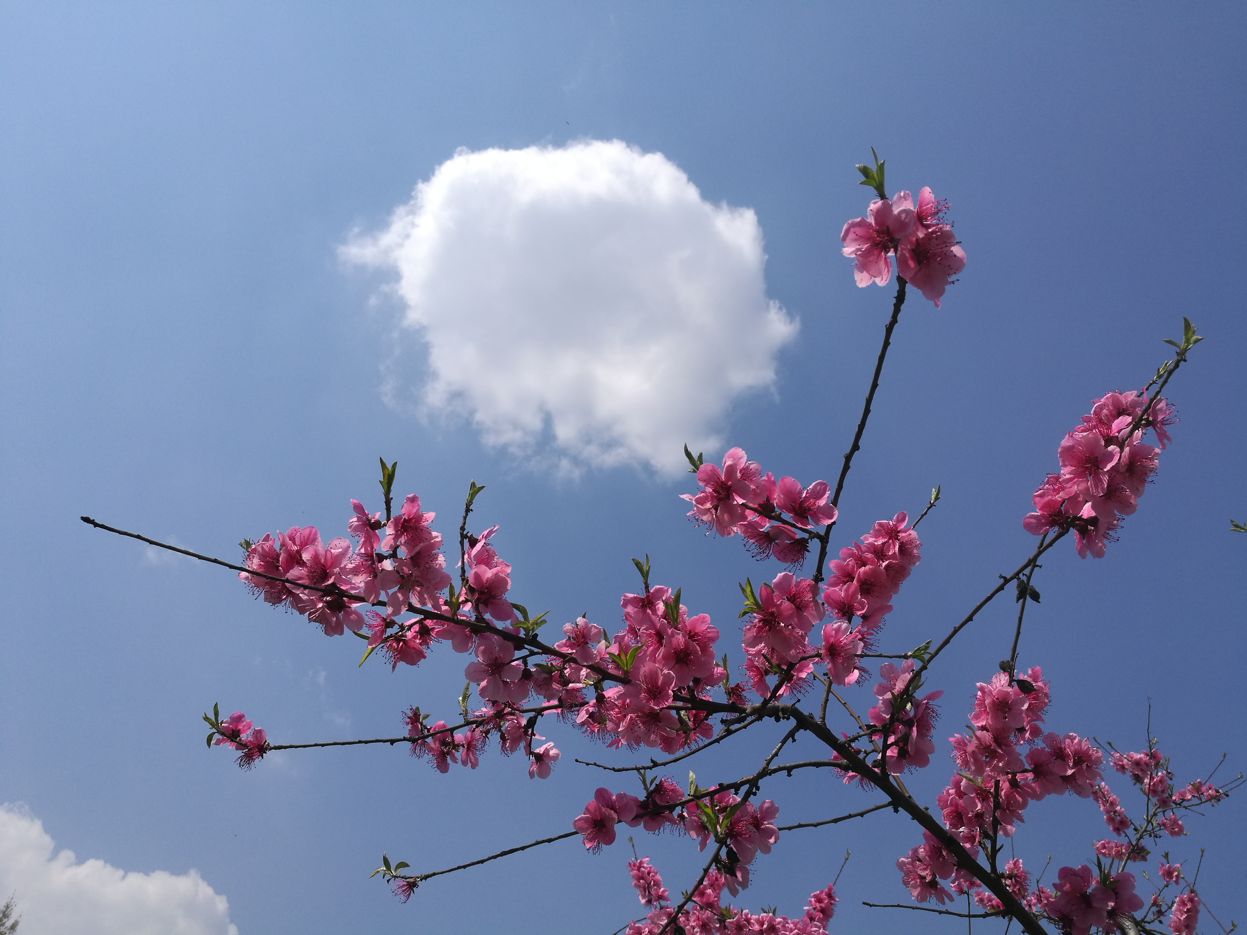 孔明的散文,作家孔明的写人散文