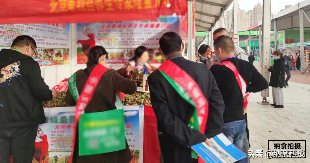 小品牌做不大,小品牌经销商怎么发展