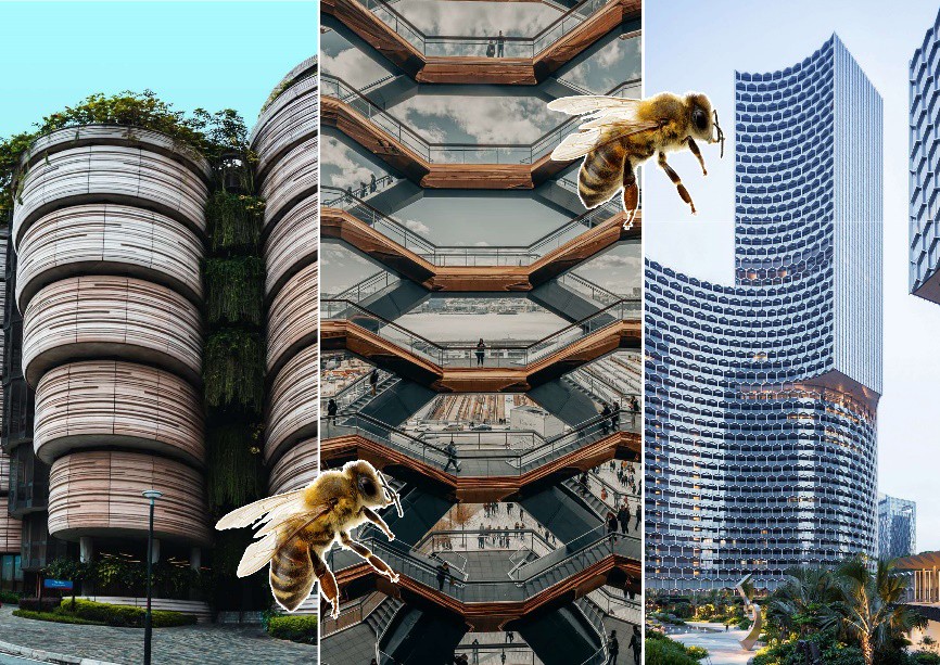 nature鏉傚織3d鎵撳嵃,nature3d鎵撳嵃