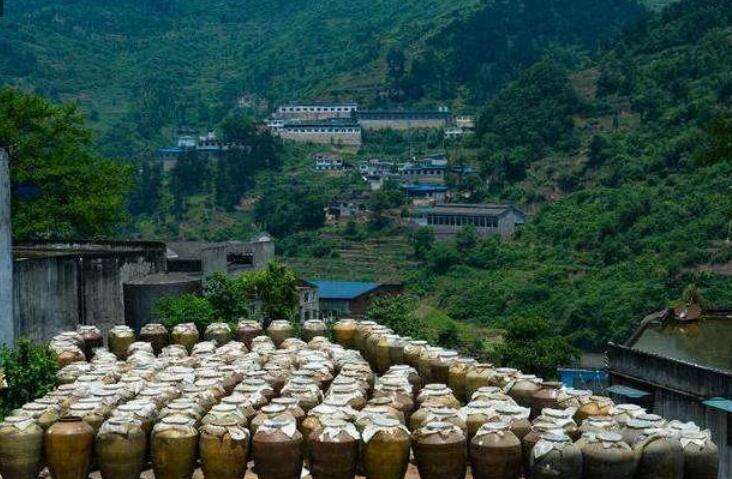 茅台酒这么贵为什么价格这么统一,茅台酒价格为什么相差那么大