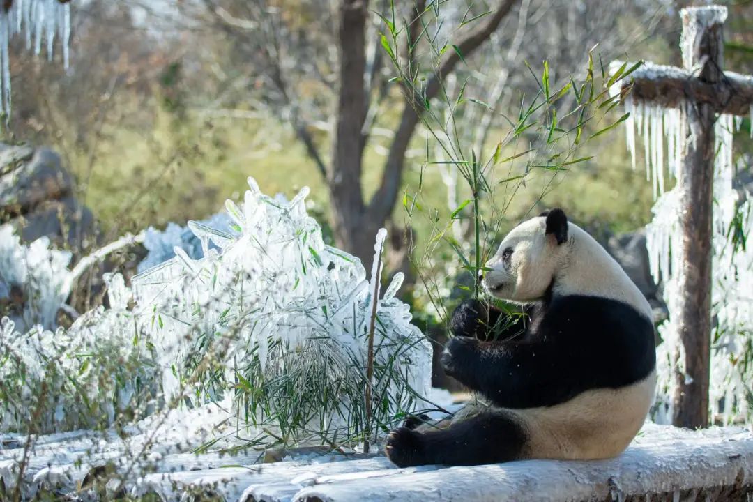 济南周边冬季自驾游去哪里好玩,济南旅游攻略五日游最佳路线