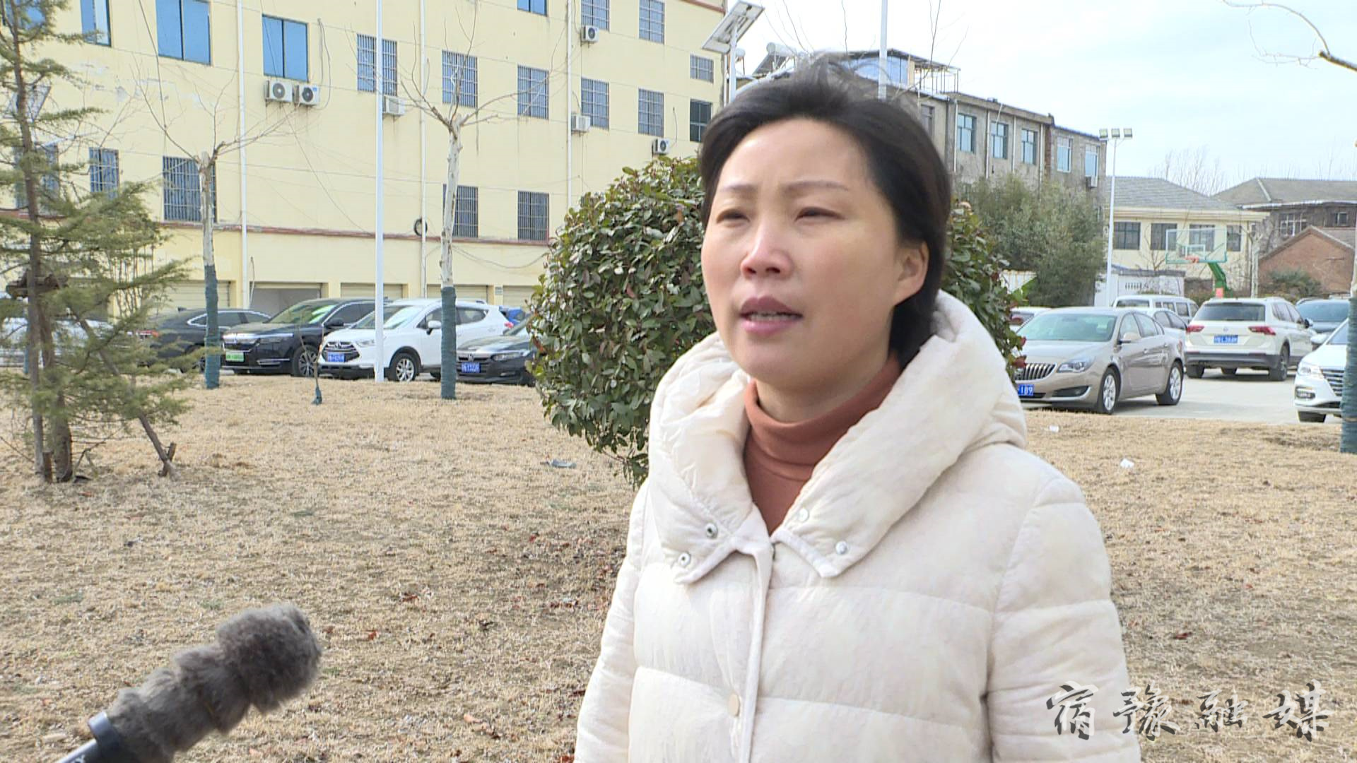 来龙小城镇建设,来龙镇城市项目