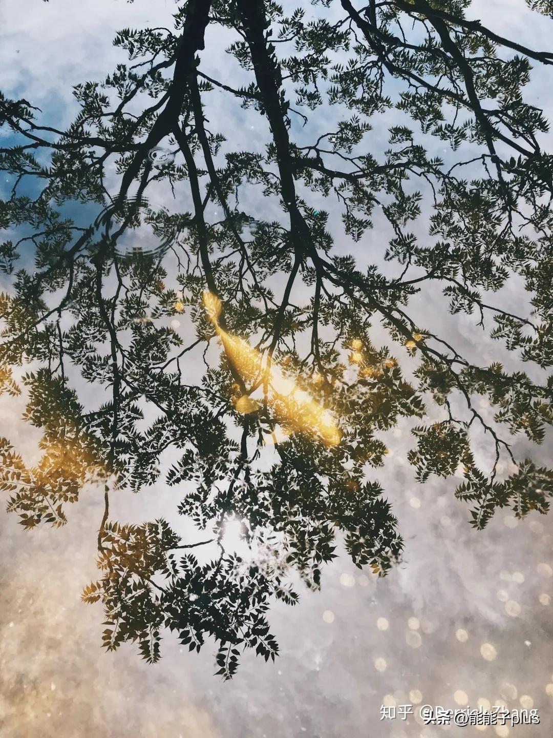 iphone12相机美颜怎么开,iphonex相机最佳设置