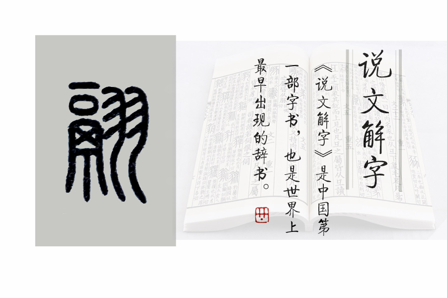 《说文解字》第692课：成语“羽翮飞肉”的“翮”是什么意思？