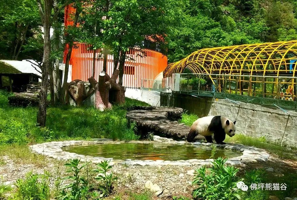 提醒幼儿注意身体六一,在汉中六一适合带孩子吃什么