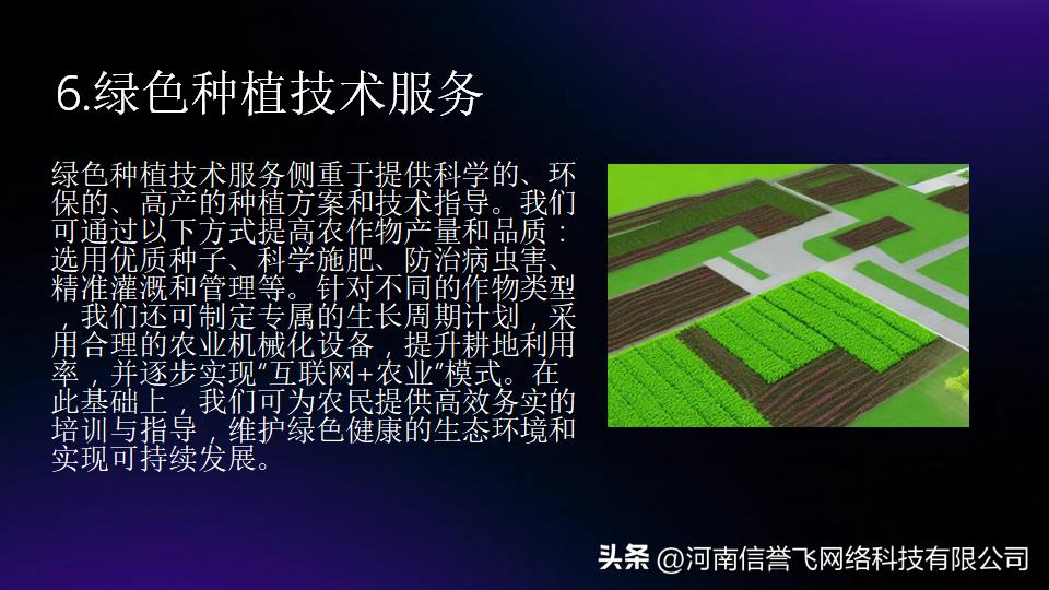 做好一个项目不光是为了赚钱,做好乡村振兴你得有一套赚钱方案