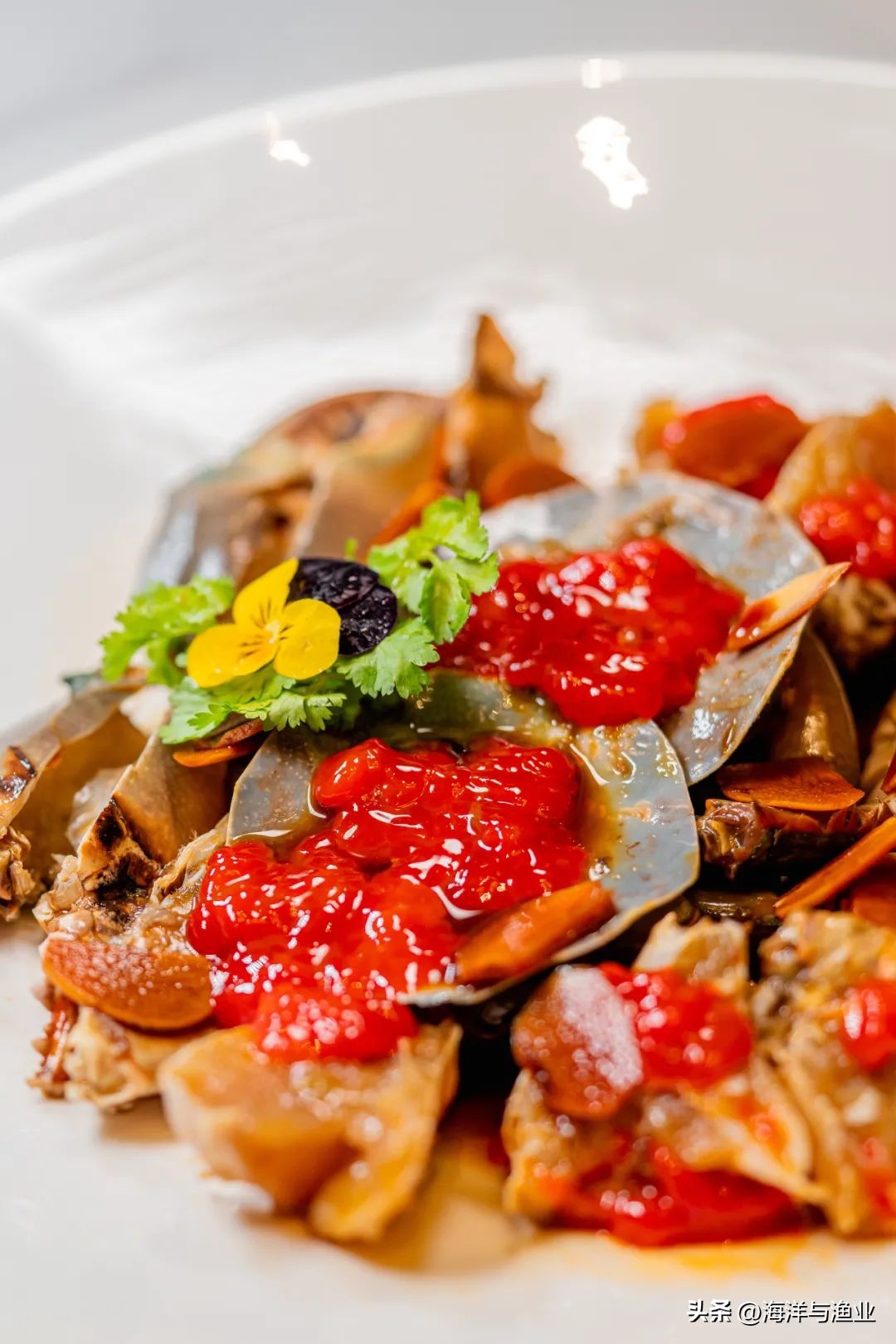 中国渔业海鲜之都,海鲜水产哪几个地方最出名