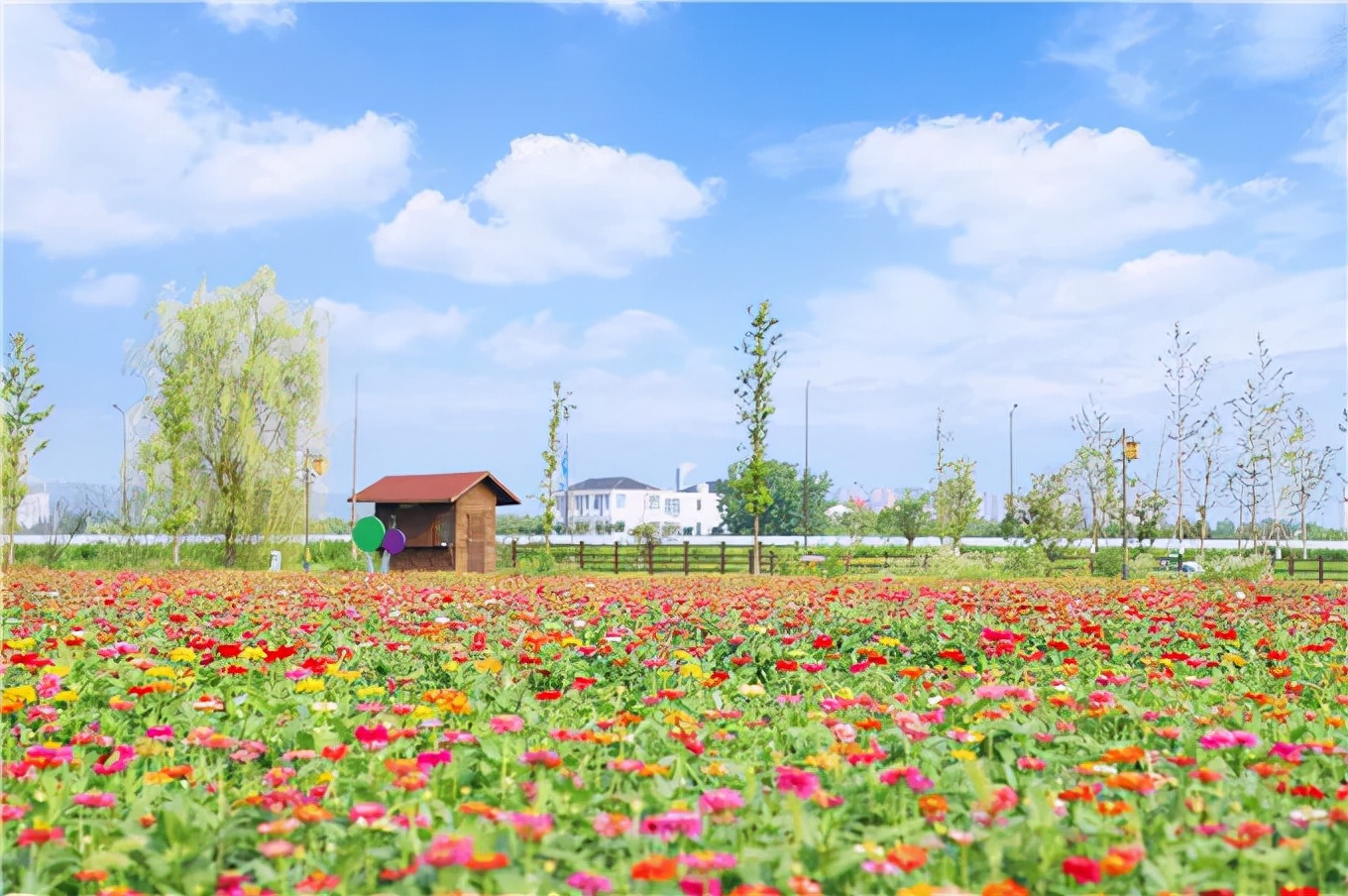 极美汤山,这些绝美的健身步道