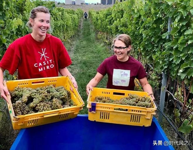 新西兰世界上最孤独的国家,新西兰是全球最孤独的国家