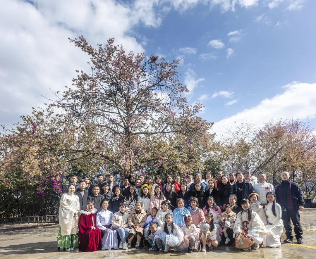 腾冲十里樱花风景区,腾冲到樱花谷旅游攻略