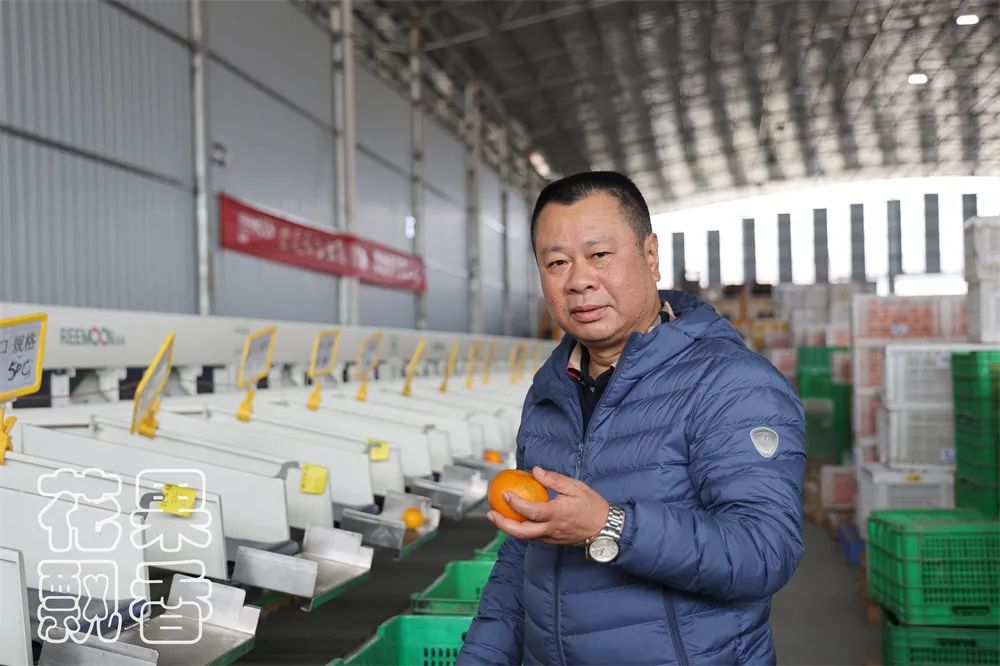 从0.6元到4元,优质优价能否引领农民种好果?