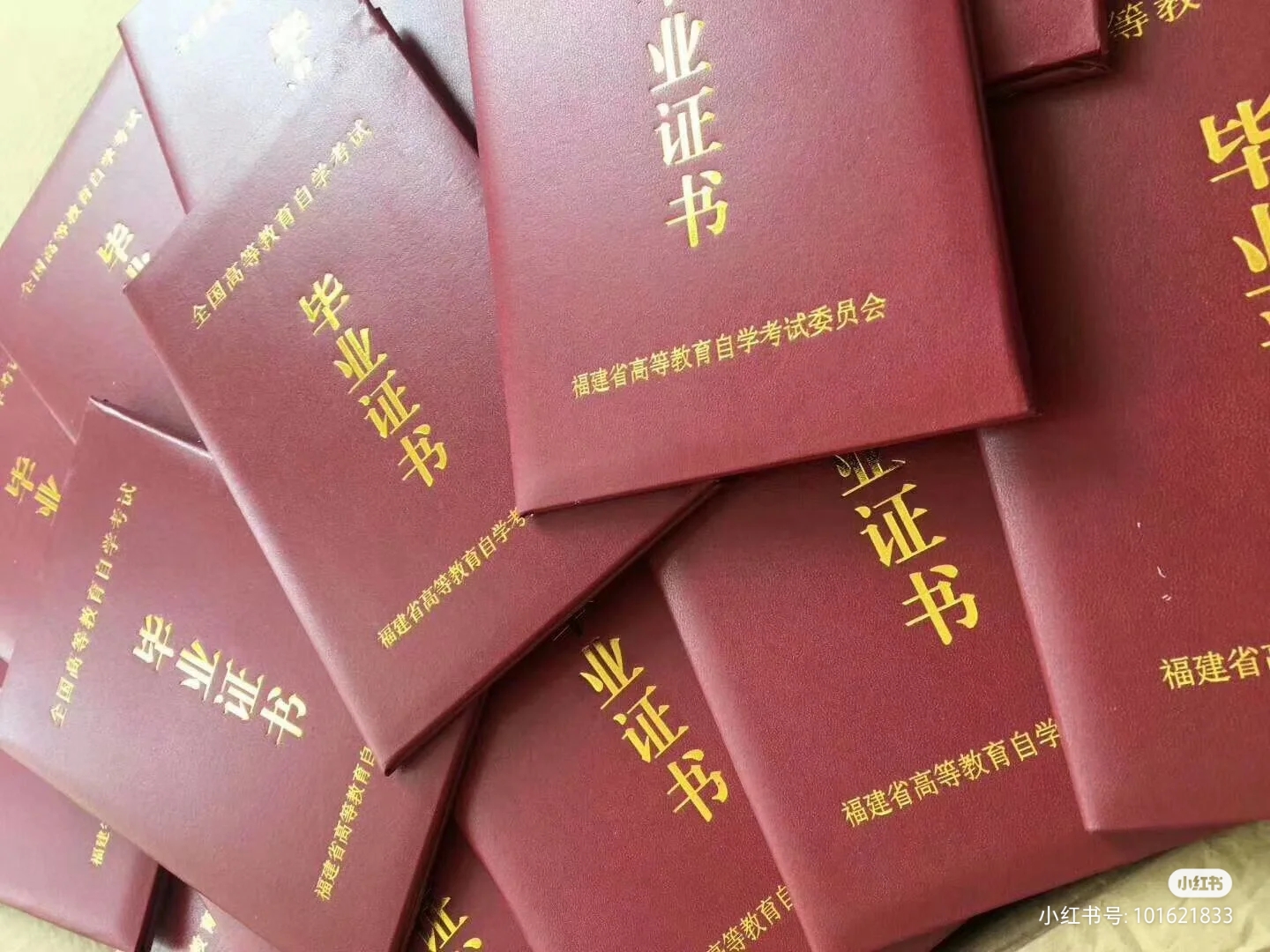 福建自考学位证书什么样子,福建自考本科学位证申请条件