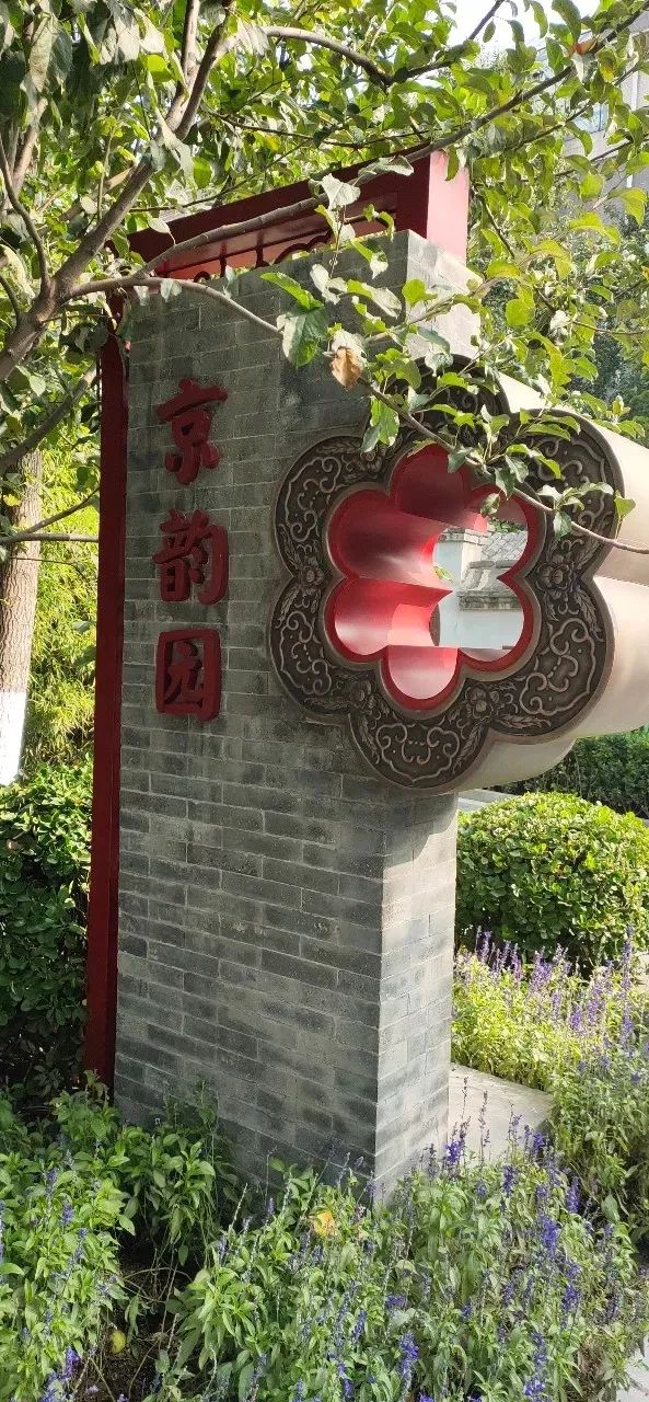 南城这个大院终于有动静了！这一片儿故事太多