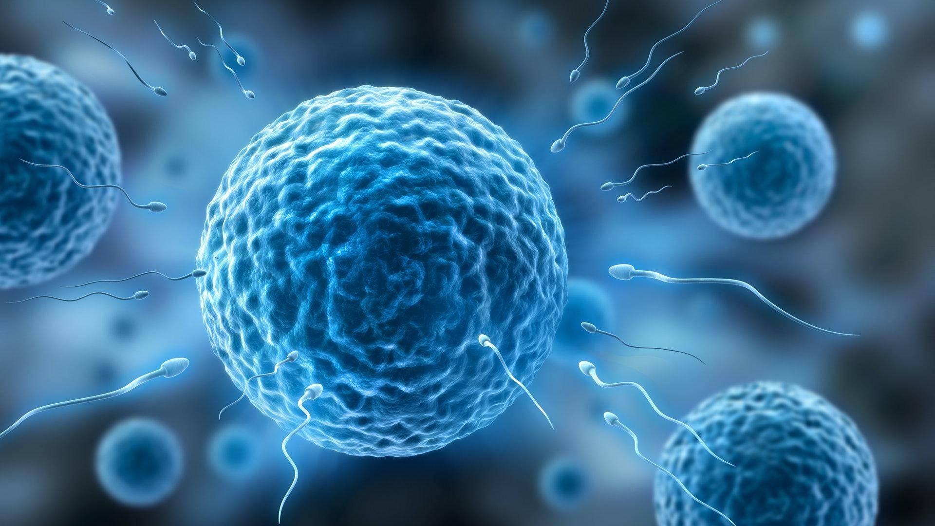 进入女性体内后，那些失败的精子都去了哪里？真是心疼又好笑