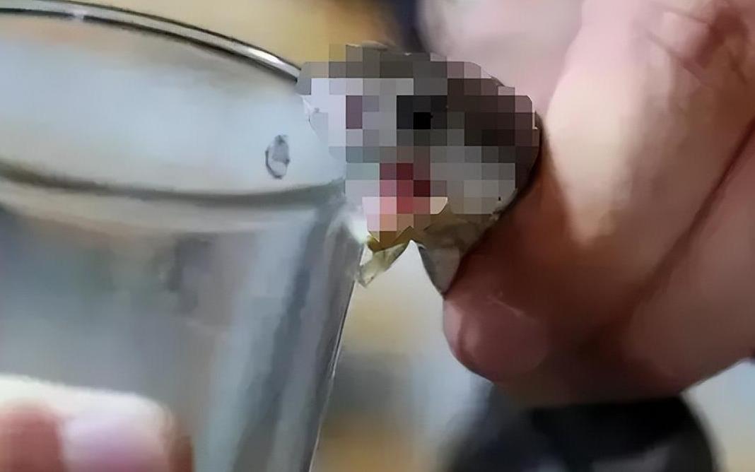 眼镜王蛇吞掉了条蟒蛇,眼镜王蛇生吞