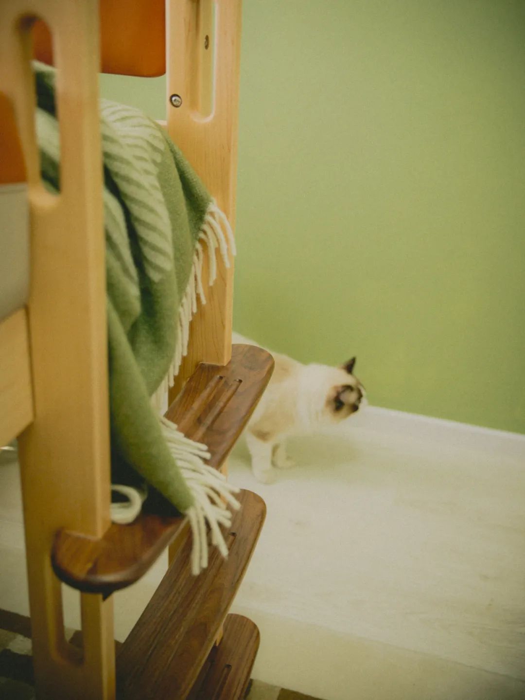 90后妈妈花3年时间,在北京打造室内“小森林”,满屋绿意