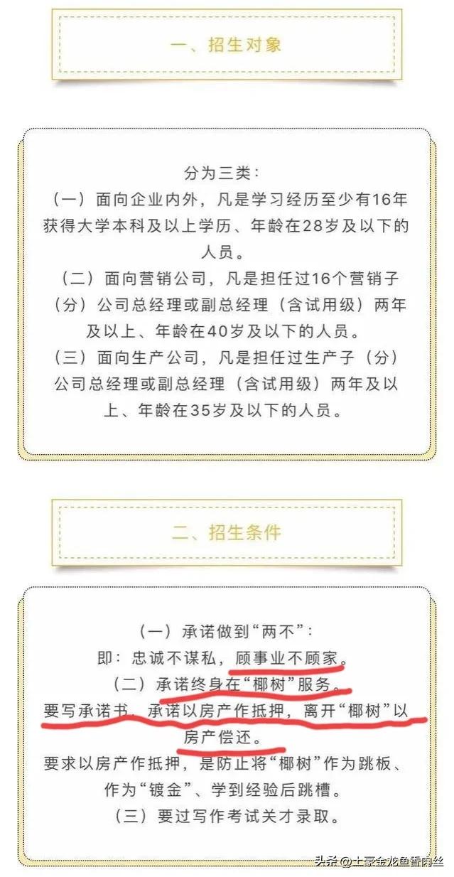 椰树直播风格引发争议,椰树再次直播