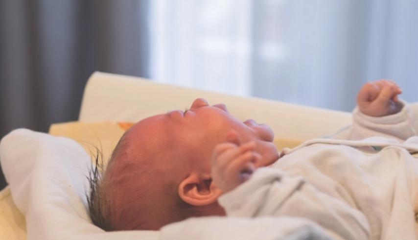 人类祖先留下来的遗传基因,人类性别决定与哪些基因有关