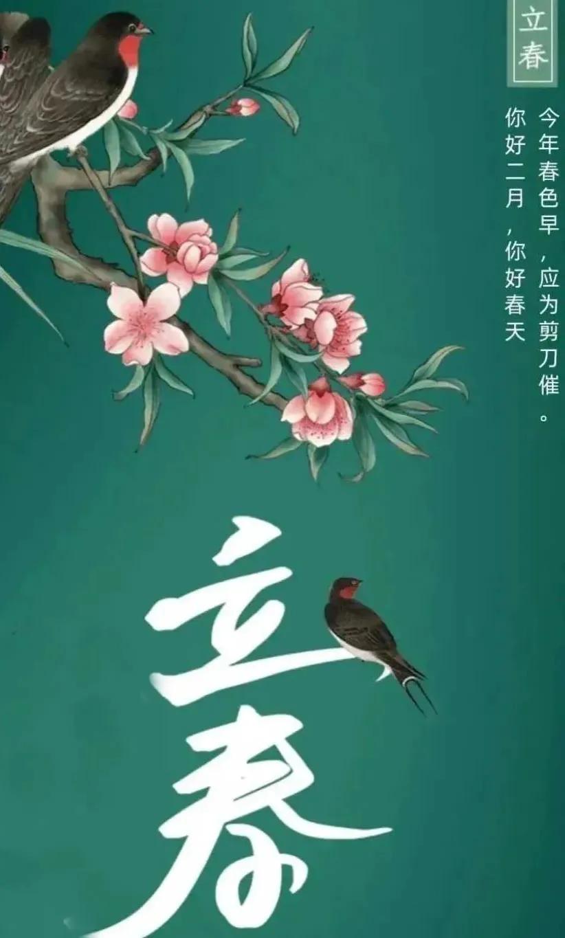 立春满山花香,立春快乐与你共赴一场春天的盛宴