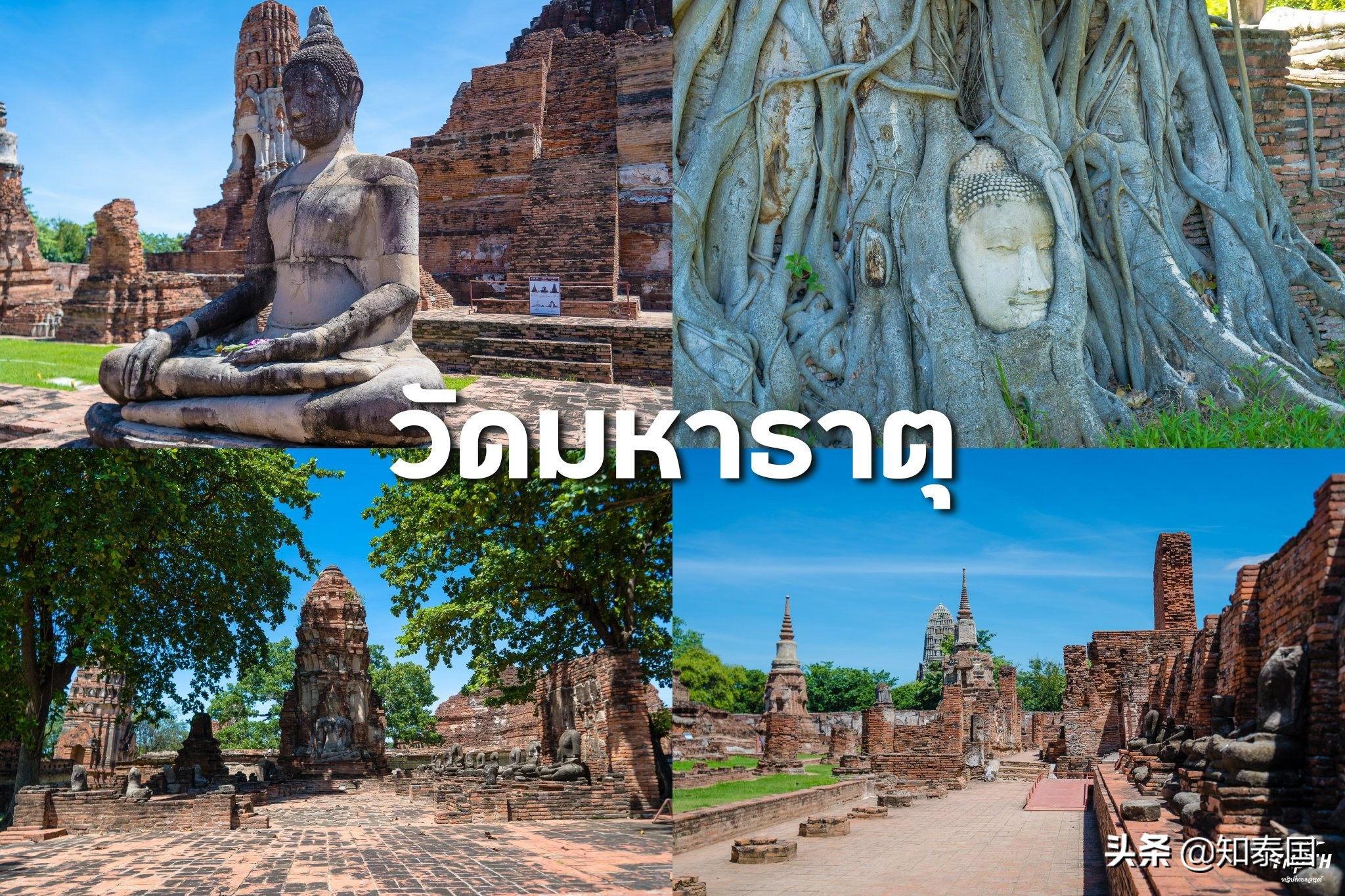 泰国卧佛寺值得去的原因,泰国最顶尖的佛寺