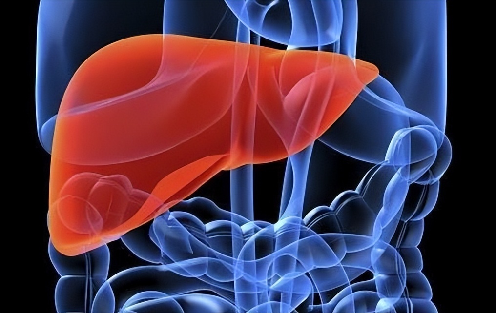 肝脏变硬了该怎么办，或要调理饮食，6种食物推荐给你