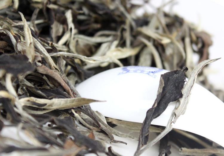 月光白云南白茶,云南月光白茶价格