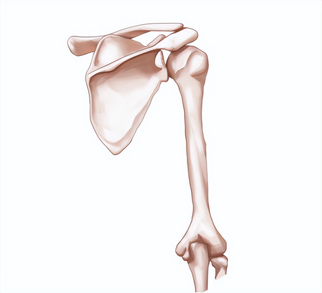 全球唯一可以治愈骨关节炎的药物,骨关节炎特效药最新研究