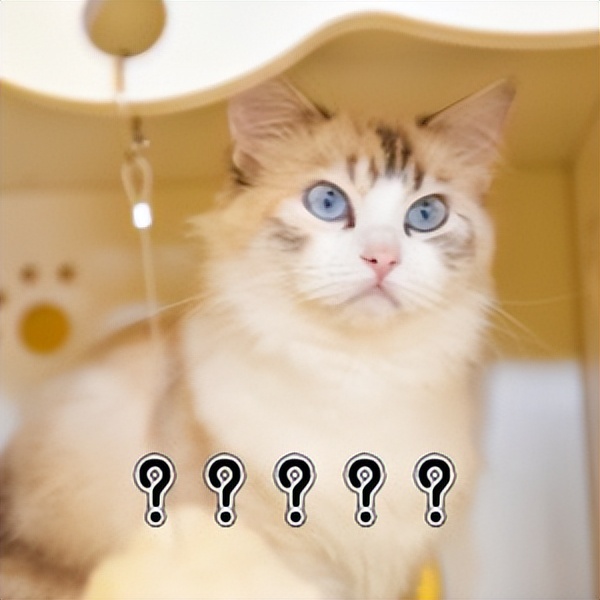 终于把尴尬的淘宝账户名改掉了,淘宝子账号昵称修改