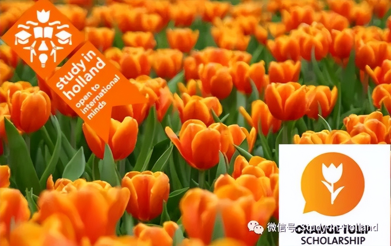 留学荷兰大学一年费用是多少,超详细英国硕士留学费用清单
