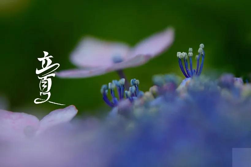 经典立夏祝福图片,立夏快乐图片祝福语