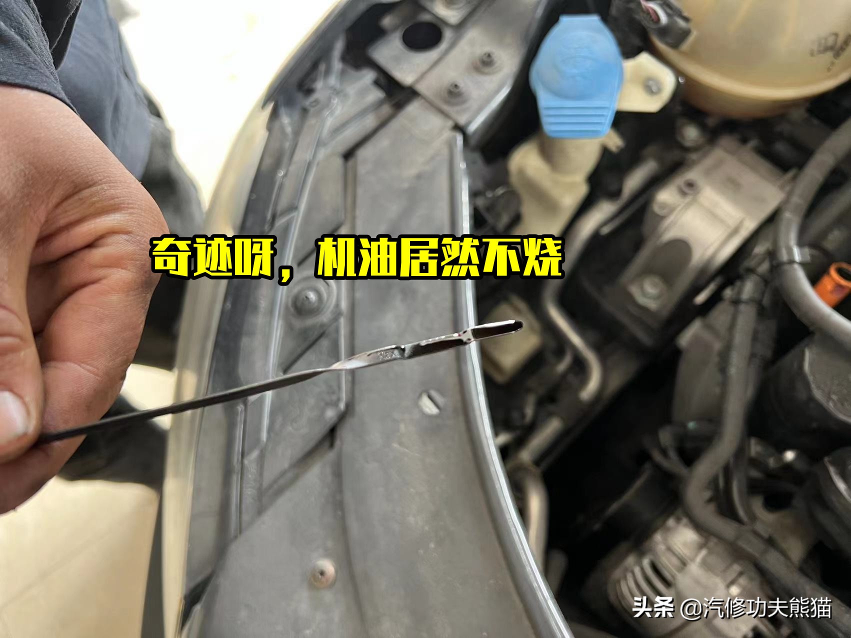 天塌了二手车,降价最狠的二手车迈腾