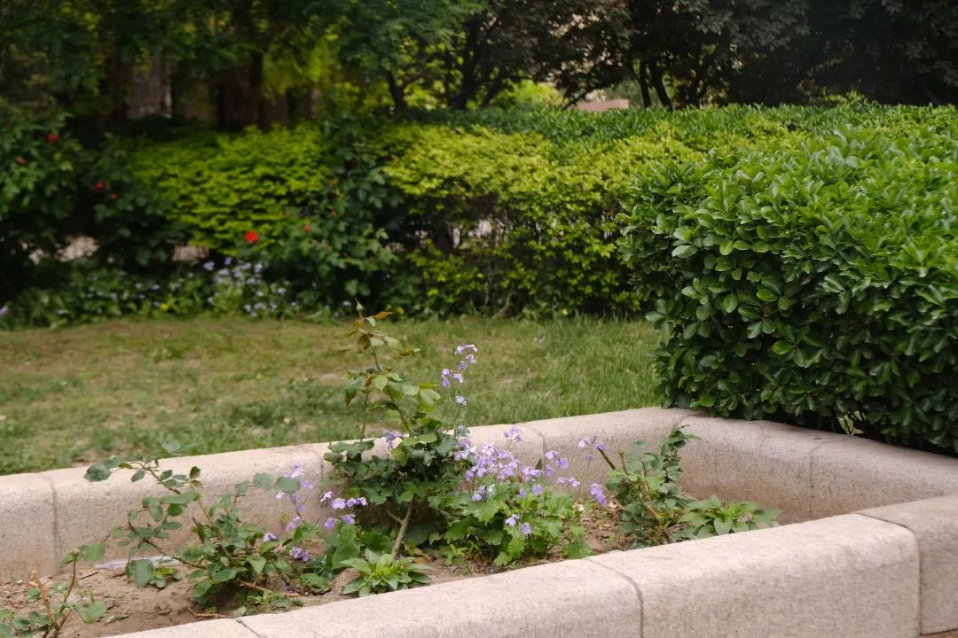 一个人住两个家？她的帝都生活，我羡慕坏了